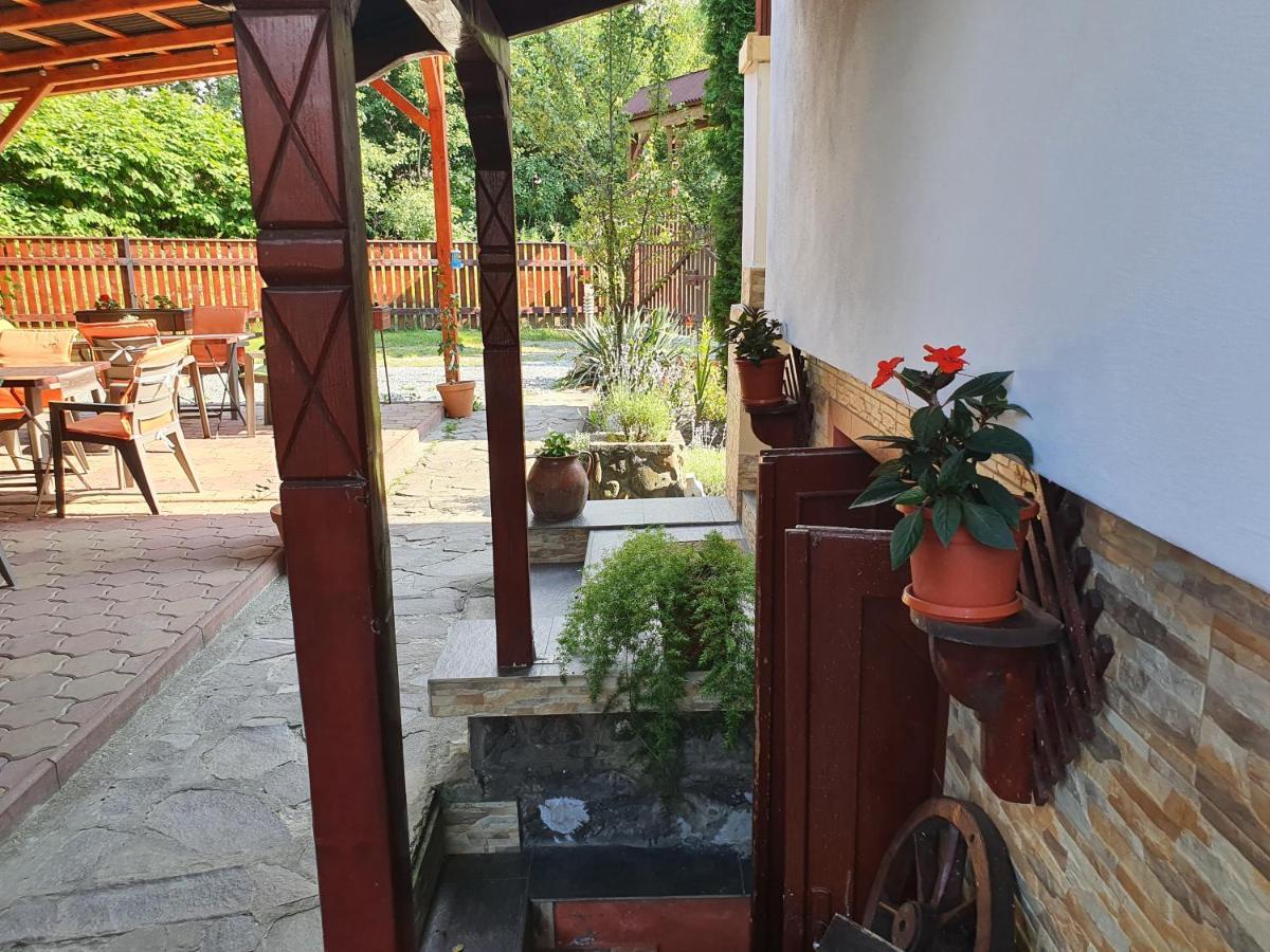 Pension Agnes Vişeu de Sus Dış mekan fotoğraf