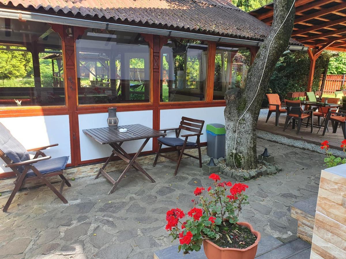 Pension Agnes Vişeu de Sus Dış mekan fotoğraf