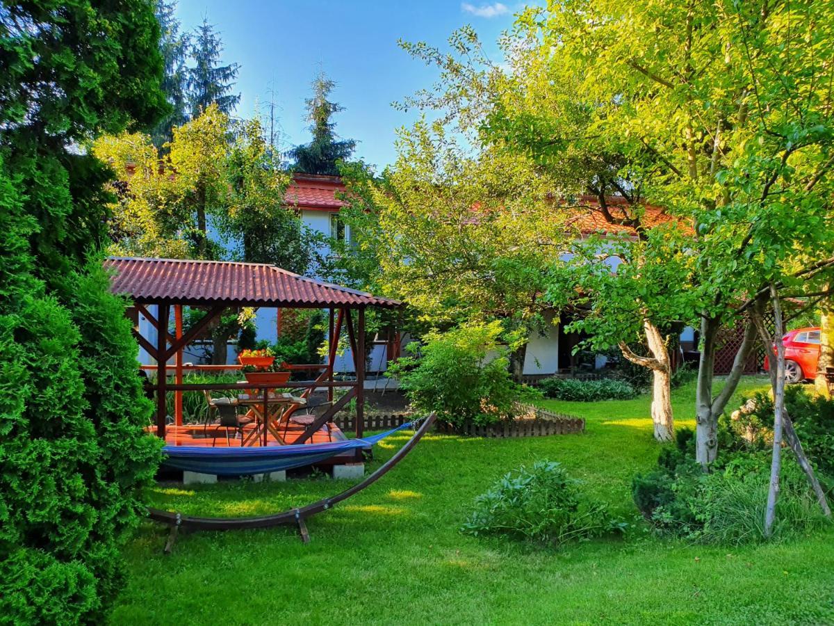 Pension Agnes Vişeu de Sus Dış mekan fotoğraf