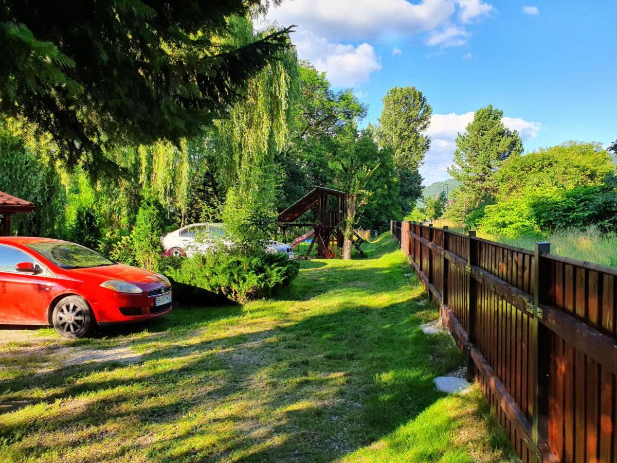 Pension Agnes Vişeu de Sus Dış mekan fotoğraf