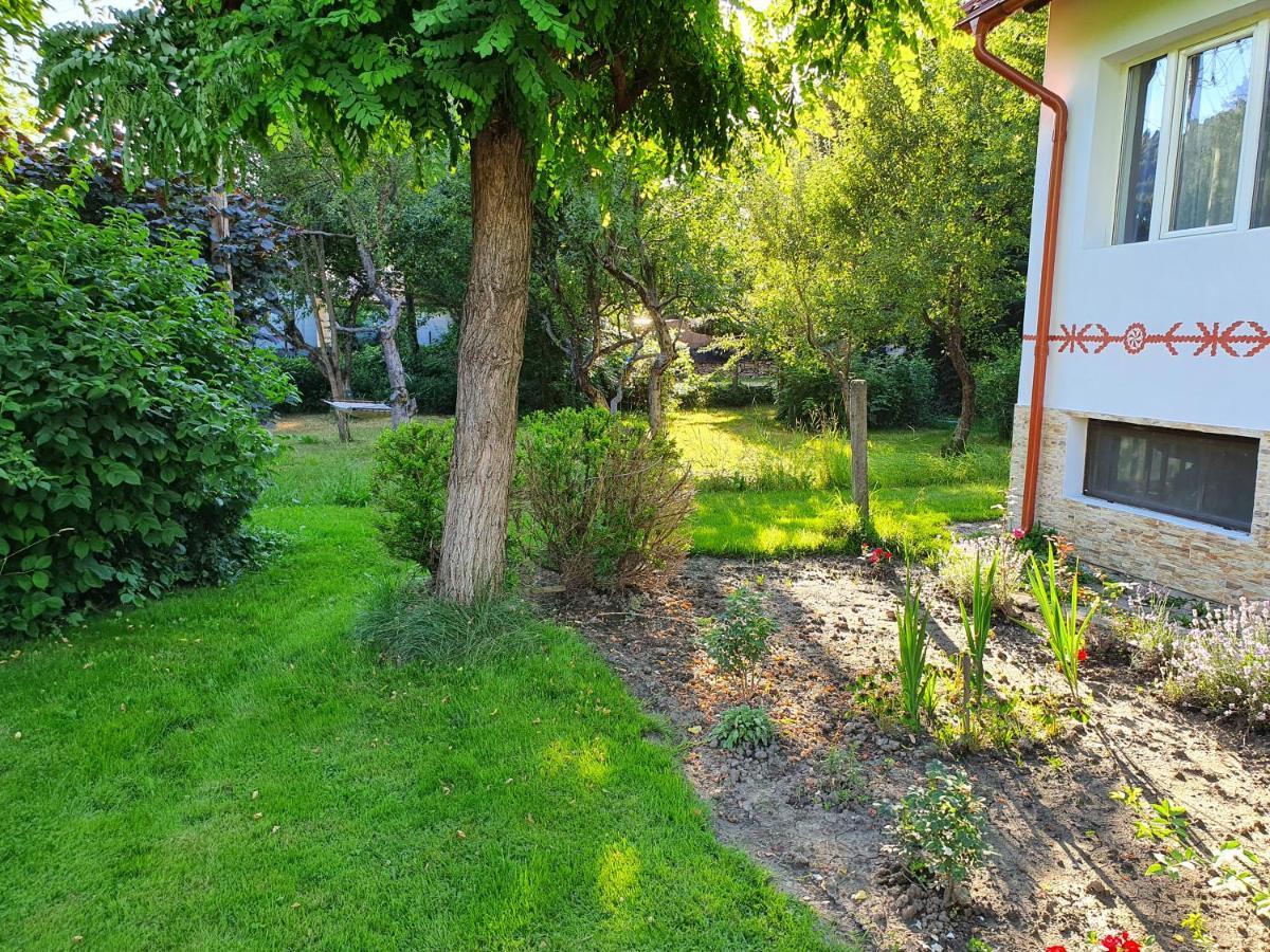 Pension Agnes Vişeu de Sus Dış mekan fotoğraf