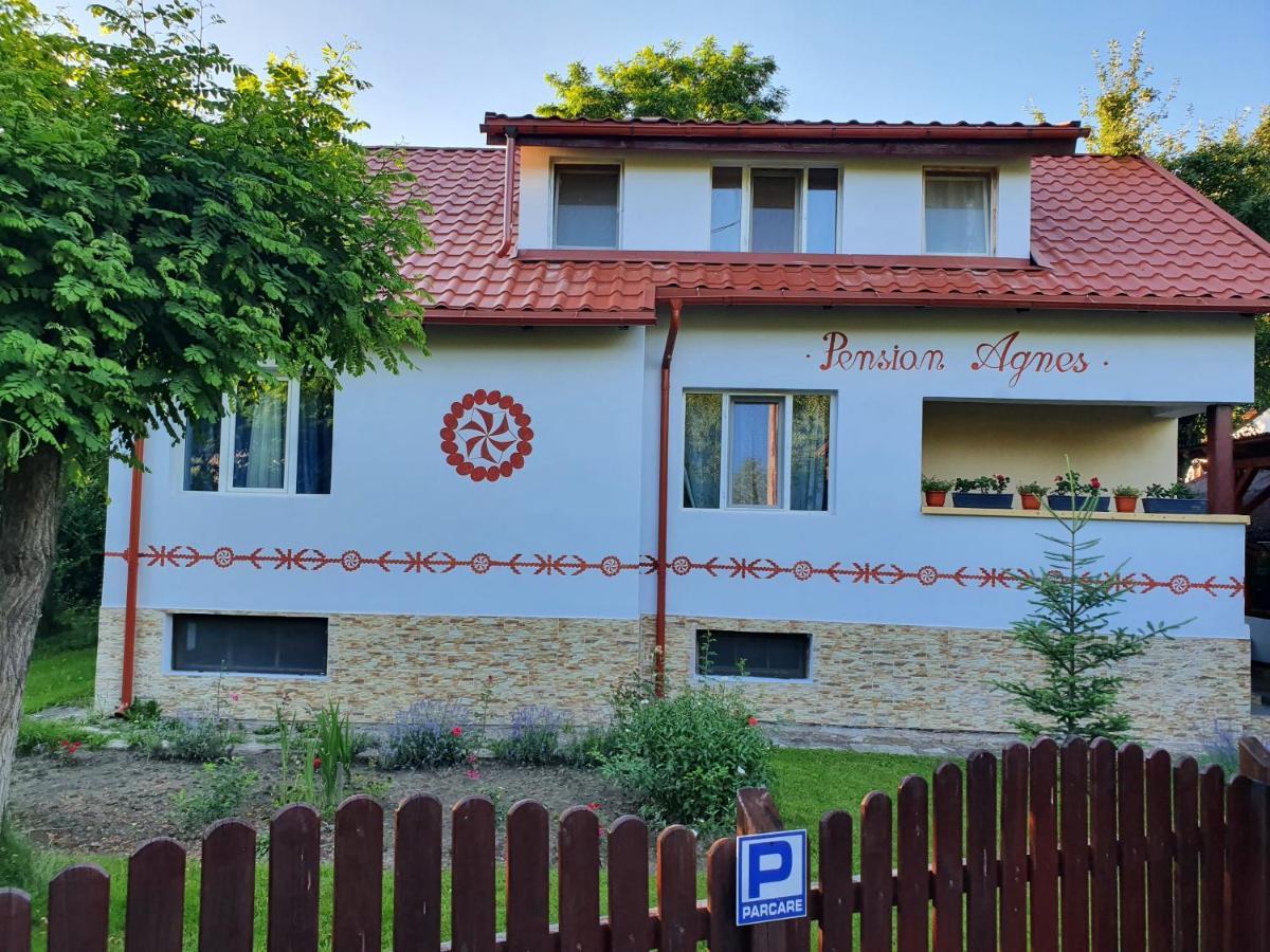Pension Agnes Vişeu de Sus Dış mekan fotoğraf