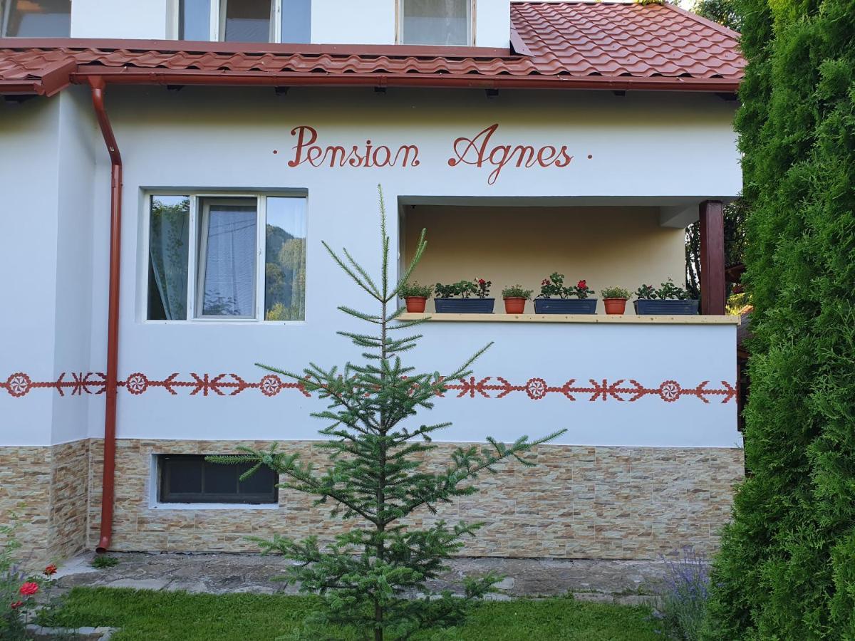 Pension Agnes Vişeu de Sus Dış mekan fotoğraf