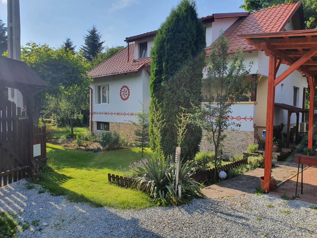 Pension Agnes Vişeu de Sus Dış mekan fotoğraf