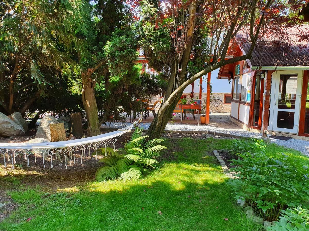 Pension Agnes Vişeu de Sus Dış mekan fotoğraf