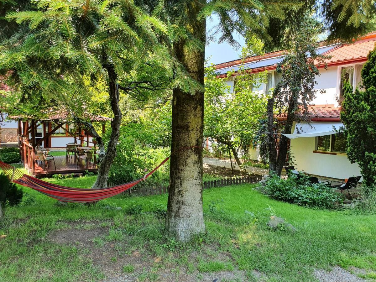 Pension Agnes Vişeu de Sus Dış mekan fotoğraf