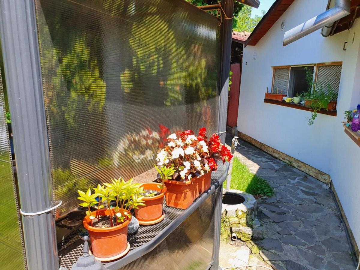 Pension Agnes Vişeu de Sus Dış mekan fotoğraf