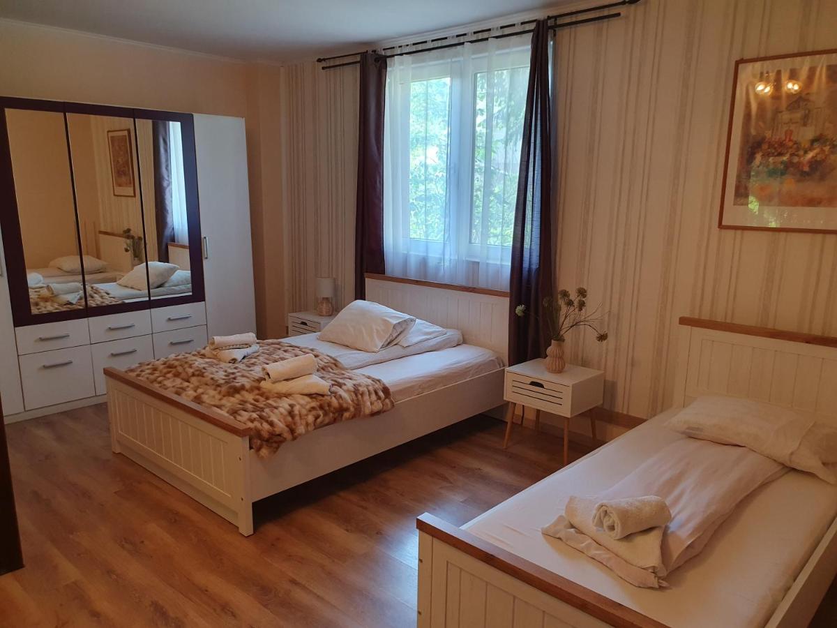 Pension Agnes Vişeu de Sus Dış mekan fotoğraf