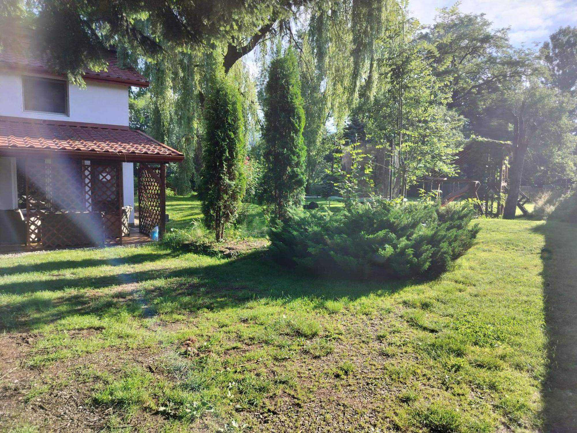 Pension Agnes Vişeu de Sus Dış mekan fotoğraf