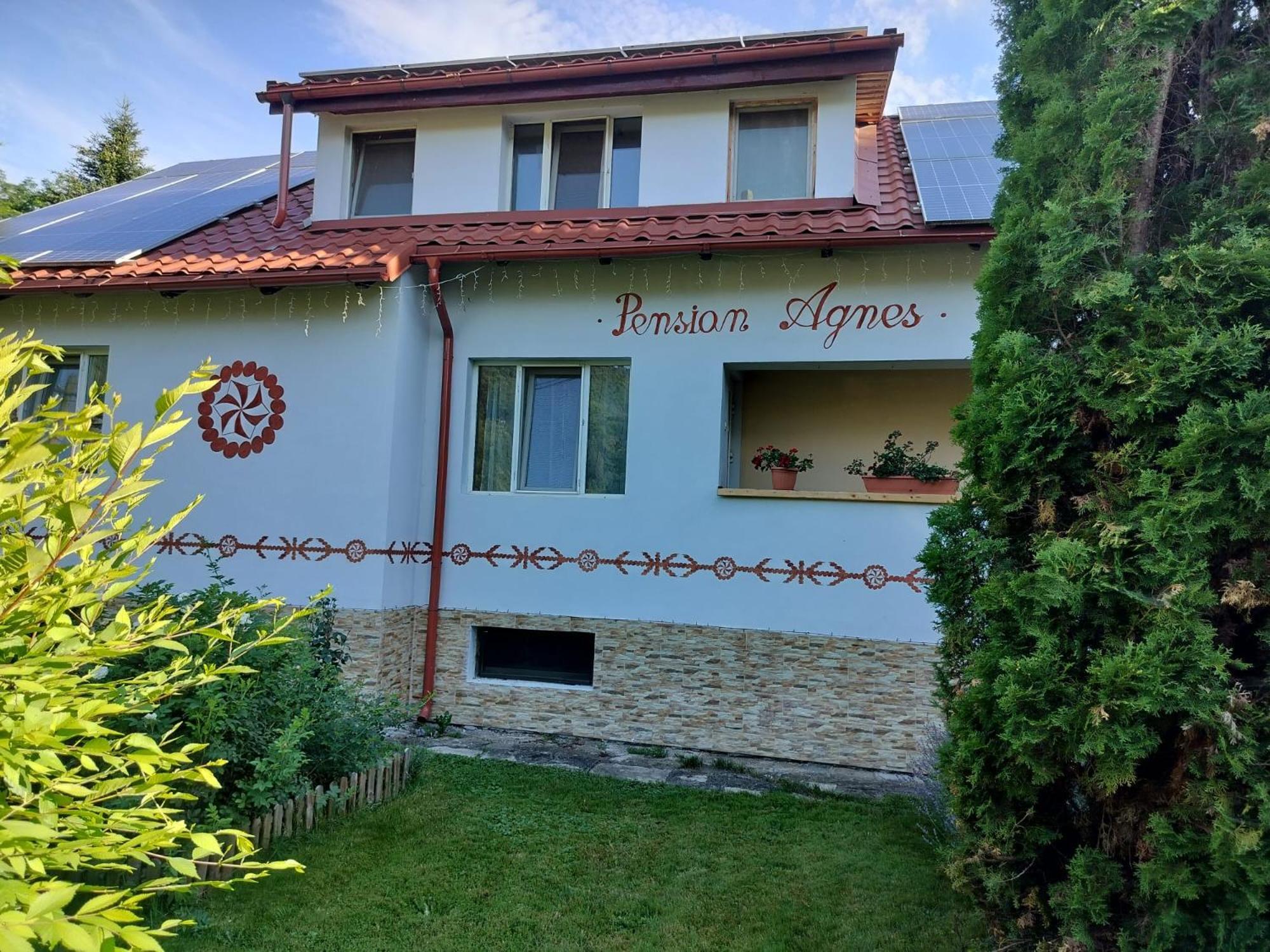 Pension Agnes Vişeu de Sus Dış mekan fotoğraf