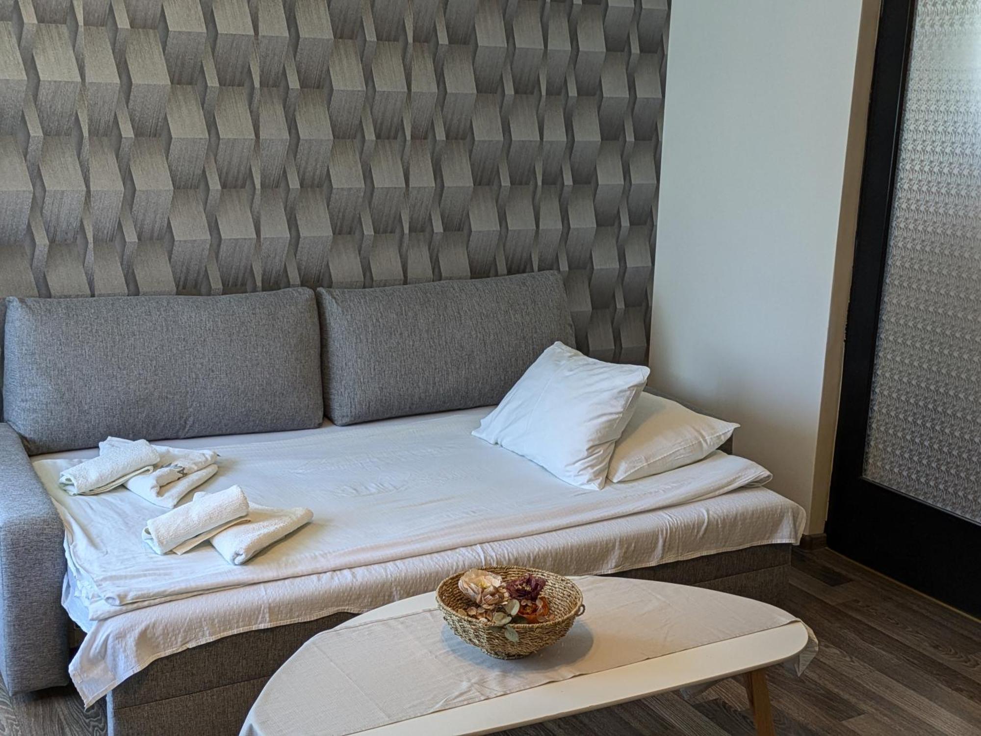 Pension Agnes Vişeu de Sus Dış mekan fotoğraf